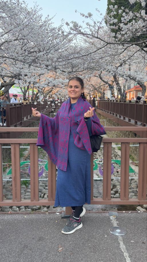 Attending the jinhae cherry blossom festival 2025