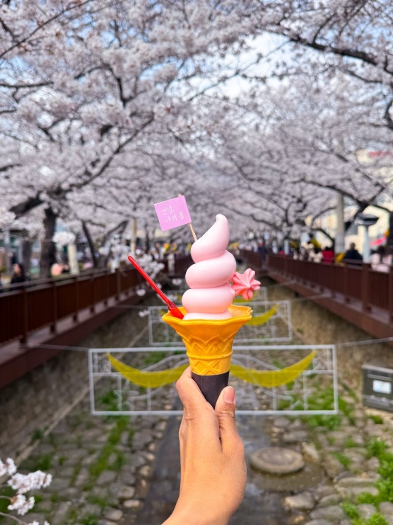 Cherry blossom flavoured icecream in Jinhae
