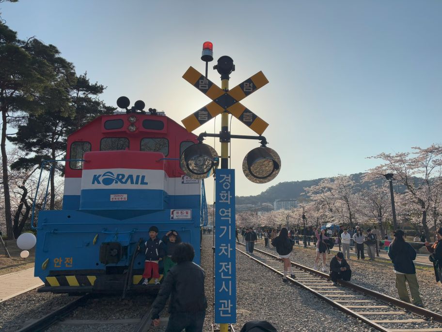 Gyeonghwa Station_ Mock train at Jinhae cherry blossom festival