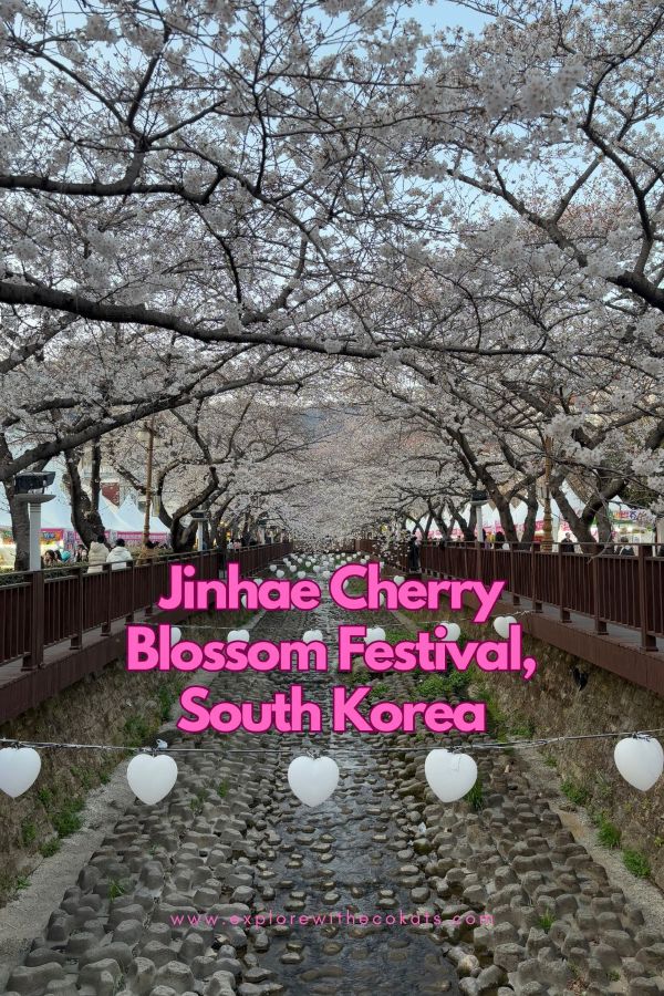 Jinhae Cherry Blossom Festival 2025