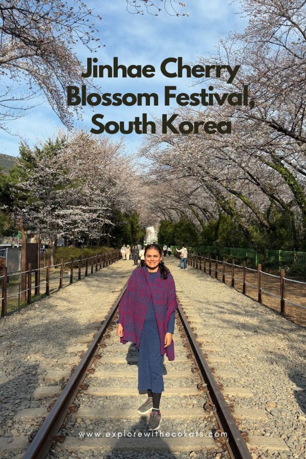 Jinhae Cherry Blossoms, South Korea