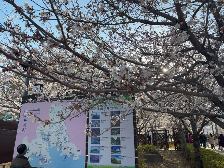 Jinhae map displaying tourist areas