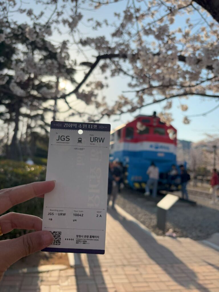 Mock train ticket at Jinhae cherry blossom festival