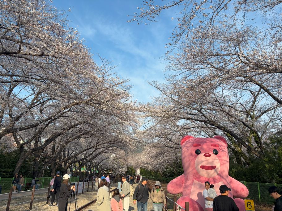 Props for photo at Gyeonghwa Station