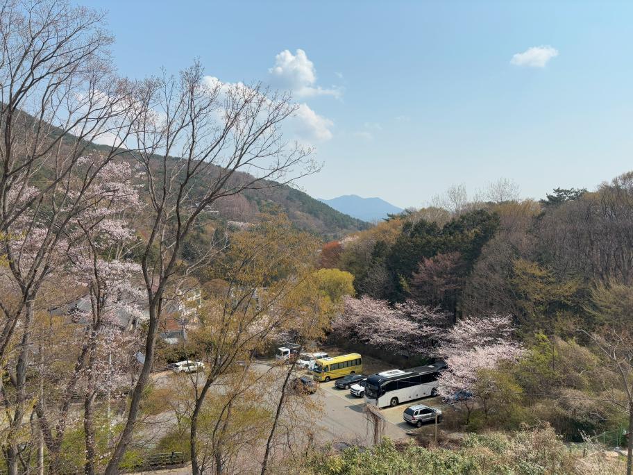 All modes of transport available to reach Beomeosa temple stay