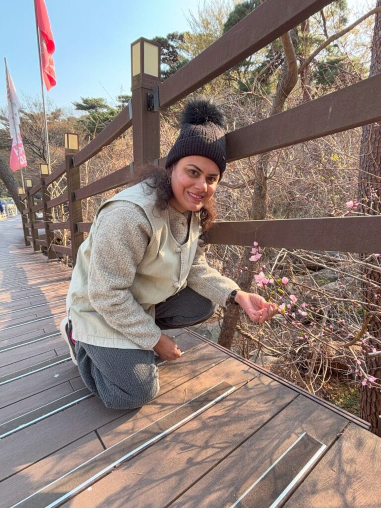 Cherry blossoms on way to Beomeosa temple stay