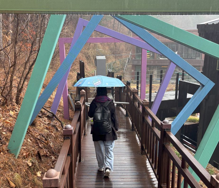 DMZ Tour & Red Suspension Bridge Tour