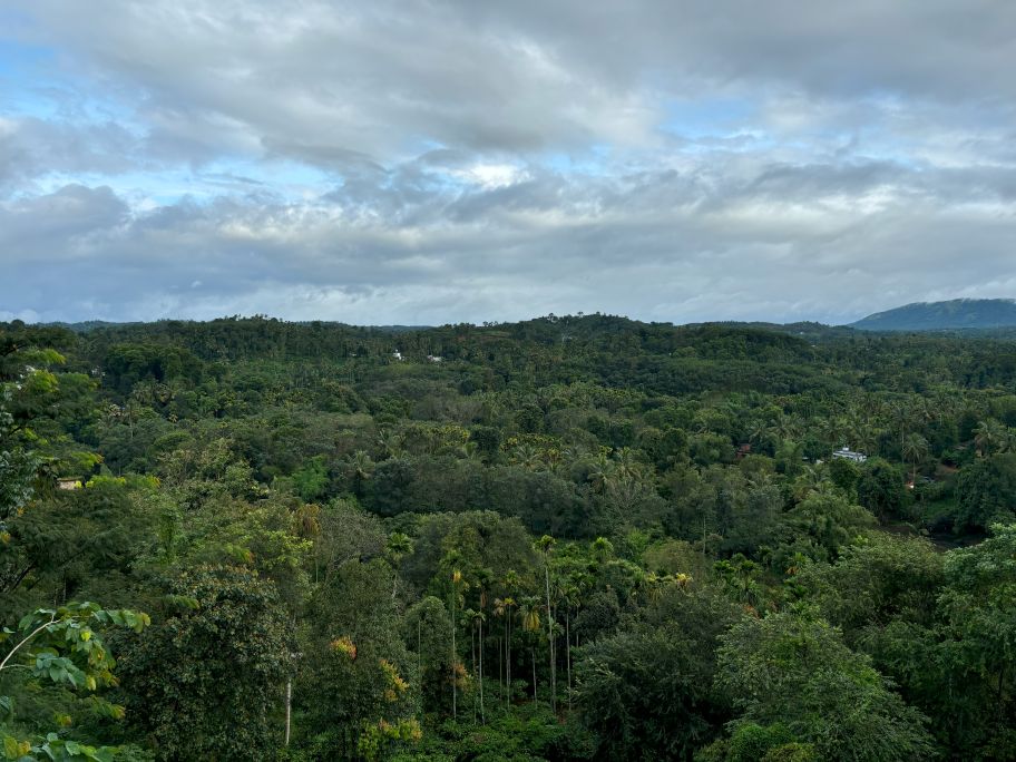Wayanad as seen from resort