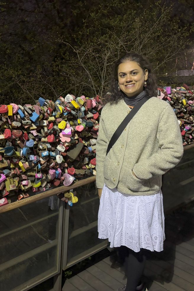 Love-locks at Namsan Tower