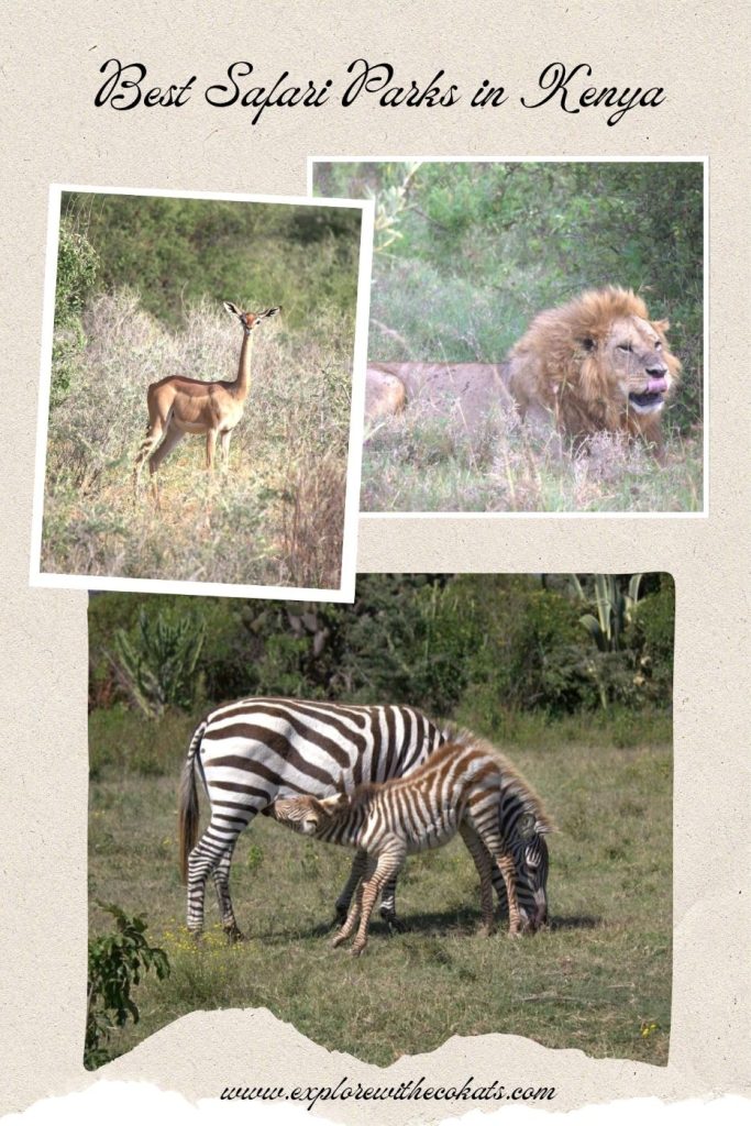 Safari parks in Kenya
