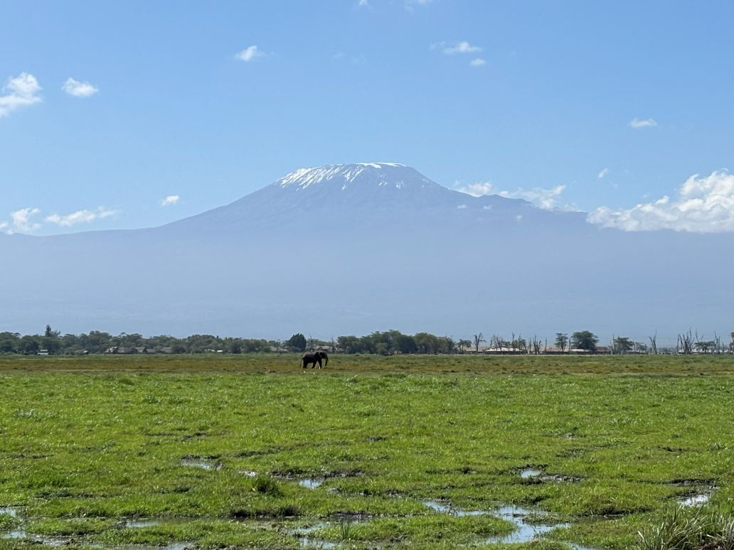 Where to see wildlife: Best Safari Parks in Kenya