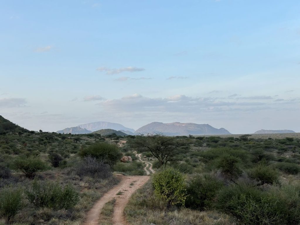 Samburu National Park, Kenya