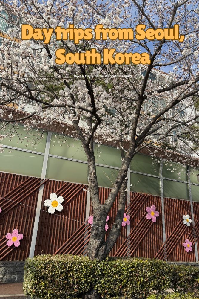 Best day trips from Seoul