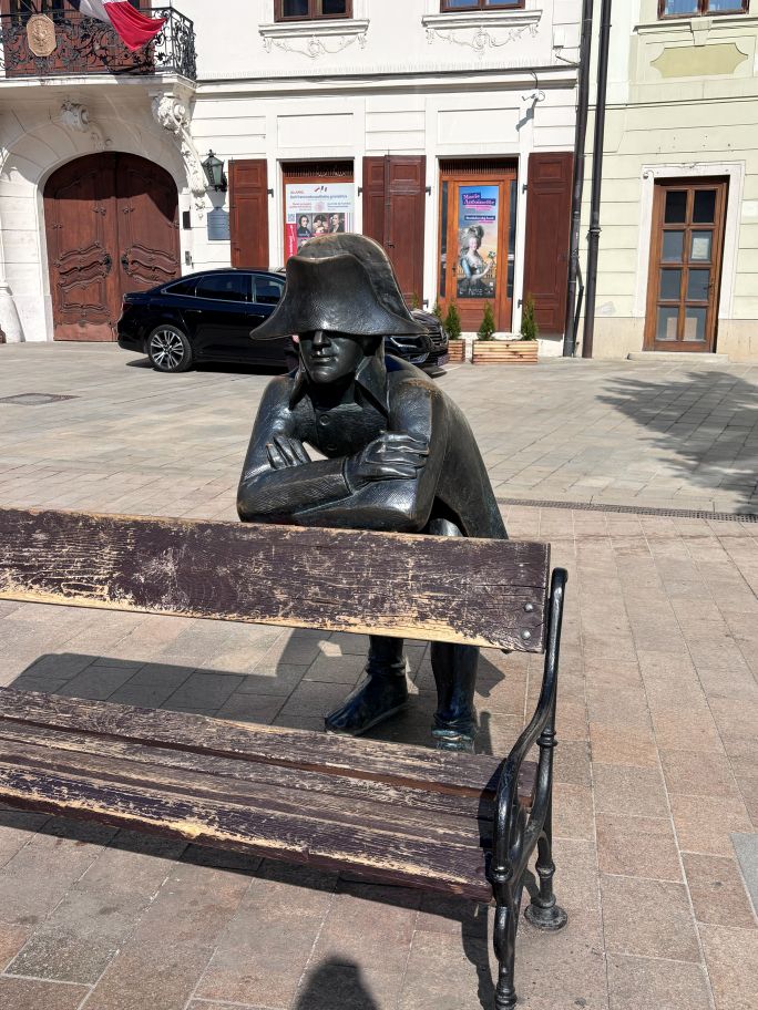 Napolean army soldier