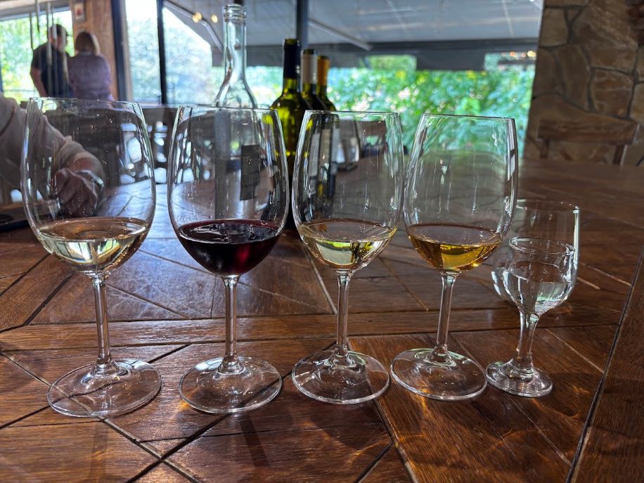 Trying wine in Tbilisi